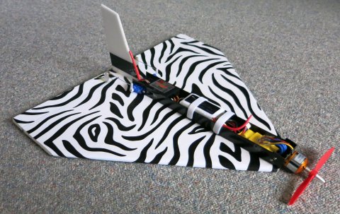 Bild Zebra1